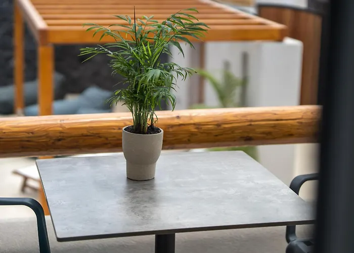 Lymarou Collection 4*