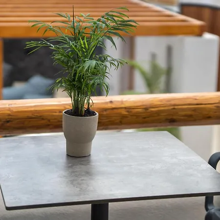 Lymarou Collection 4*